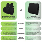 Ergofix Premium Lumbar Cushion – Support Your Lower Back & Sit More Comfortably Without Replacing Your Chair