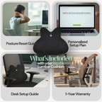 ErgoFix Lumber Cushion with desk setup guide, posture reset guide, and warranty information.