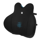 Ergofix Premium Lumbar Cushion – Support Your Lower Back & Sit More Comfortably Without Replacing Your Chair